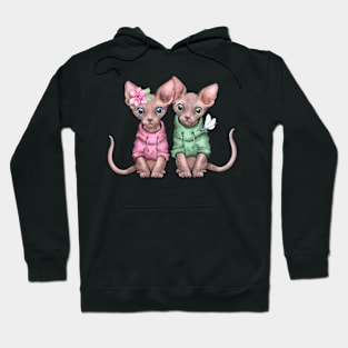 Two cute kittens Hoodie